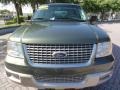 2003 Estate Green Metallic Ford Expedition Eddie Bauer  photo #2