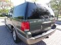 2003 Estate Green Metallic Ford Expedition Eddie Bauer  photo #5