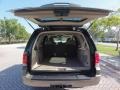 2003 Estate Green Metallic Ford Expedition Eddie Bauer  photo #7