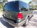 2003 Estate Green Metallic Ford Expedition Eddie Bauer  photo #9