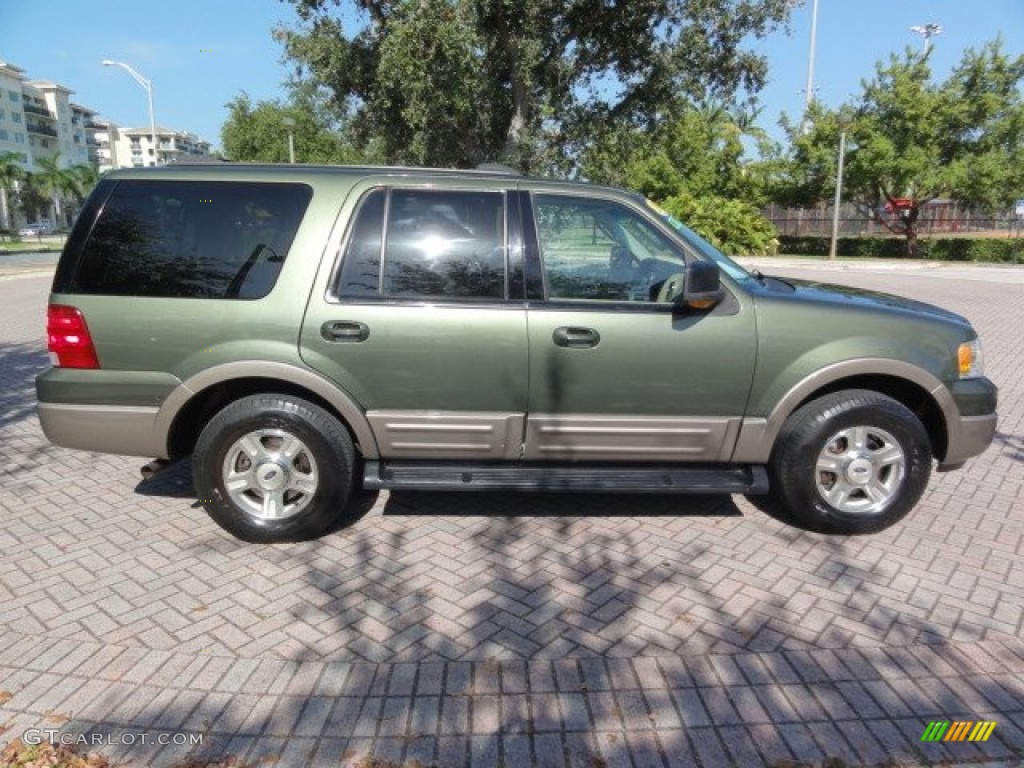 2003 Expedition Eddie Bauer - Estate Green Metallic / Medium Parchment photo #10