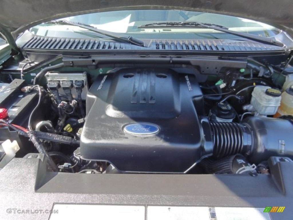 2003 Ford Expedition Eddie Bauer 4.6 Liter SOHC 16-Valve Triton V8 Engine Photo #68665555