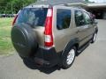 2005 Sahara Sand Metallic Honda CR-V EX 4WD  photo #5