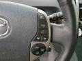Magnetic Gray Metallic - Prius Hybrid Photo No. 18