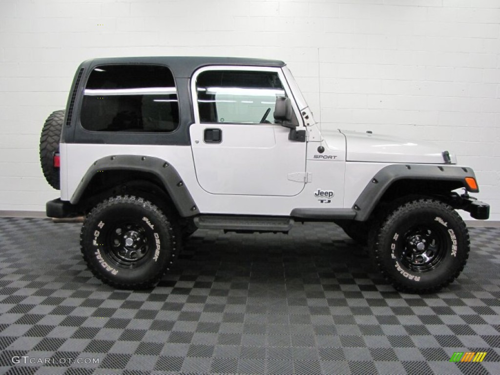 2004 Wrangler Sport 4x4 - Bright Silver Metallic / Dark Slate Gray photo #9