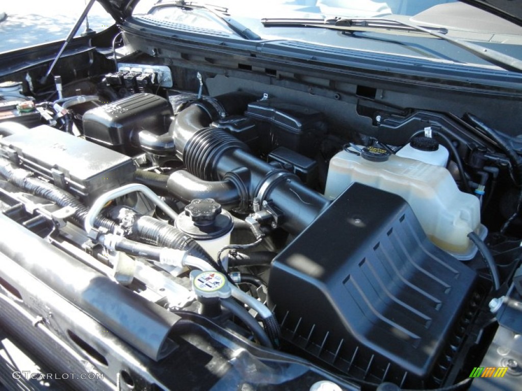 2010 Ford F150 Platinum SuperCrew 4x4 5.4 Liter Flex-Fuel SOHC 24-Valve VVT Triton V8 Engine Photo #68676511
