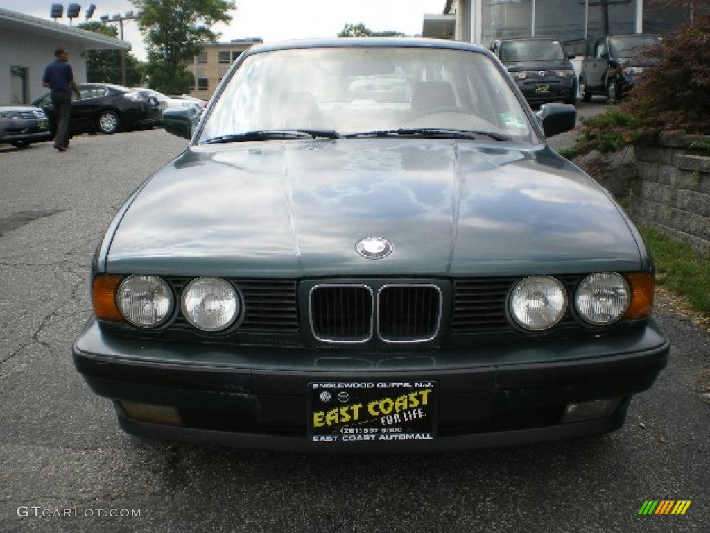 1991 5 Series 525i Sedan - Iceland Green Metallic / Tan photo #2