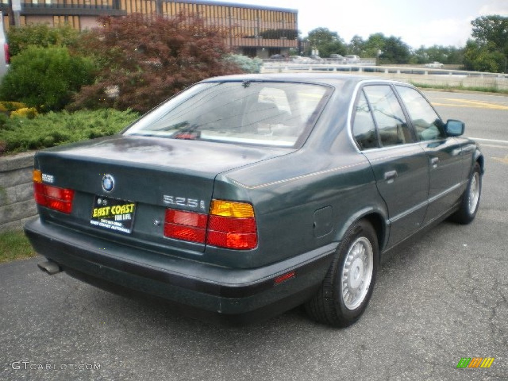 1991 5 Series 525i Sedan - Iceland Green Metallic / Tan photo #4