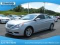 Radiant Silver - Sonata GLS Photo No. 3
