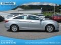 Radiant Silver - Sonata GLS Photo No. 6
