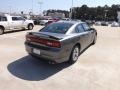 Tungsten Metallic - Charger SE Photo No. 5