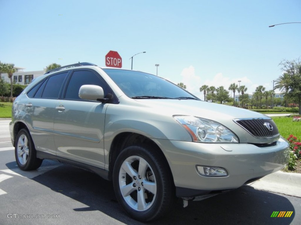 2007 RX 350 - Bamboo Green Pearl / Ivory photo #4