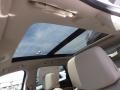 Platinum Ice Tricoat - SRX Luxury Photo No. 10