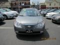 Carbon Gray Mist - Elantra GLS Photo No. 1