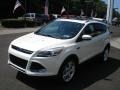 White Platinum Metallic Tri-Coat - Escape Titanium 2.0L EcoBoost 4WD Photo No. 4