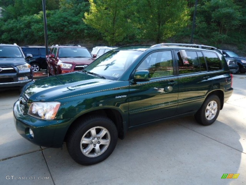2002 Highlander Limited 4WD - Electric Green Mica / Ivory photo #13