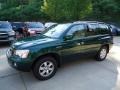 2002 Electric Green Mica Toyota Highlander Limited 4WD  photo #13