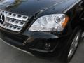 Black - ML 350 Photo No. 25
