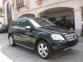 Black - ML 350 Photo No. 27