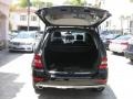 Black - ML 350 Photo No. 4