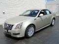 Light Platinum - CTS Sedan Photo No. 8