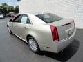 Light Platinum - CTS Sedan Photo No. 10
