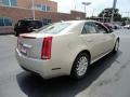 Light Platinum - CTS Sedan Photo No. 12