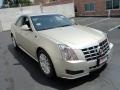 Light Platinum - CTS Sedan Photo No. 13