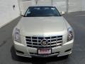 Light Platinum - CTS Sedan Photo No. 14
