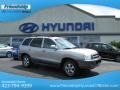 Smart Silver - Santa Fe GLS 4WD Photo No. 1