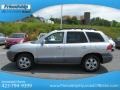Smart Silver - Santa Fe GLS 4WD Photo No. 2