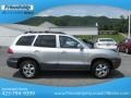 Smart Silver - Santa Fe GLS 4WD Photo No. 6