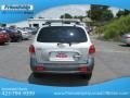 Smart Silver - Santa Fe GLS 4WD Photo No. 8
