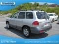 Smart Silver - Santa Fe GLS 4WD Photo No. 9