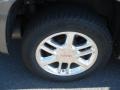 Steel Gray Metallic - Envoy Denali 4x4 Photo No. 9