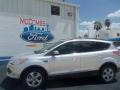 2013 Ingot Silver Metallic Ford Escape SE 1.6L EcoBoost  photo #2