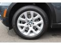 Platinum Gray Metallic - X5 xDrive35i Premium Photo No. 32