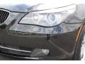 2010 Black Sapphire Metallic BMW 5 Series 528i xDrive Sedan  photo #30