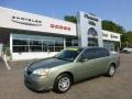 Silver Green Metallic 2006 Chevrolet Malibu LS Sedan