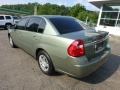 2006 Silver Green Metallic Chevrolet Malibu LS Sedan  photo #3