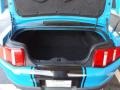 2010 Grabber Blue Ford Mustang GT Premium Coupe  photo #18