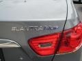 2010 Hyundai Elantra Blue Badge and Logo Photo