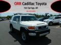 Iceberg White - FJ Cruiser 4WD Photo No. 1