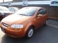 2006 Spicy Orange Chevrolet Aveo LS Hatchback  photo #6