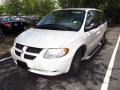 Stone White 2003 Dodge Grand Caravan EX Exterior