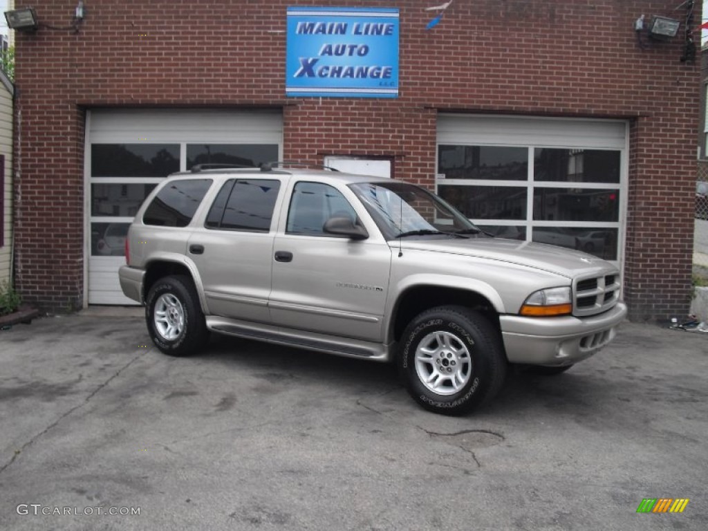 2001 Durango SLT 4x4 - Light Pewter Metallic / Dark Slate Gray/Taupe photo #1