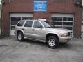 2001 Light Pewter Metallic Dodge Durango SLT 4x4 #68707627