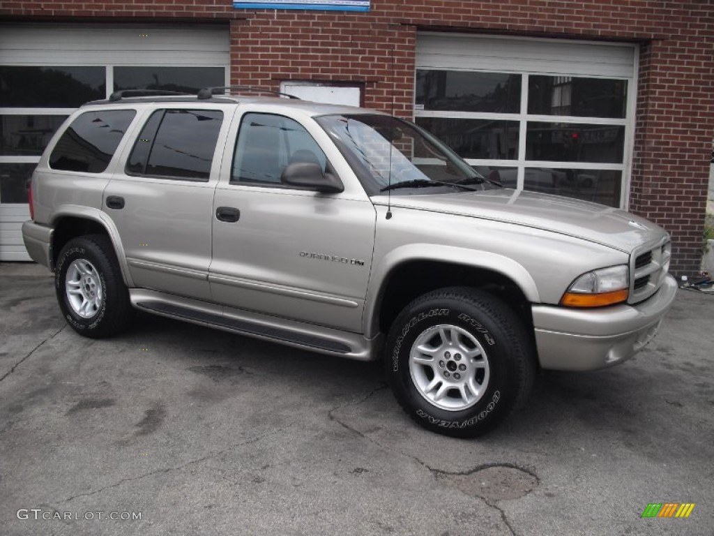 2001 Durango SLT 4x4 - Light Pewter Metallic / Dark Slate Gray/Taupe photo #2