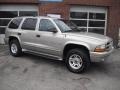 2001 Light Pewter Metallic Dodge Durango SLT 4x4  photo #2