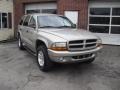 2001 Light Pewter Metallic Dodge Durango SLT 4x4  photo #3